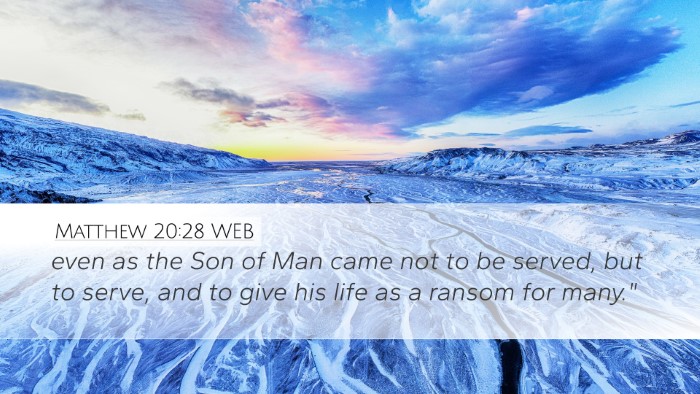 Matthew 20:28 WEB Bible Verse Image
