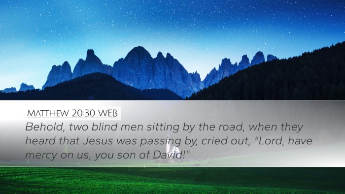 Matthew 20:30 WEB Bible Verse Image