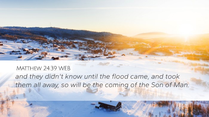 Matthew 24:39 WEB Bible Verse Image