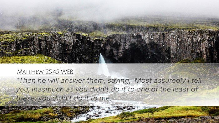Matthew 25:45 WEB Bible Verse Image