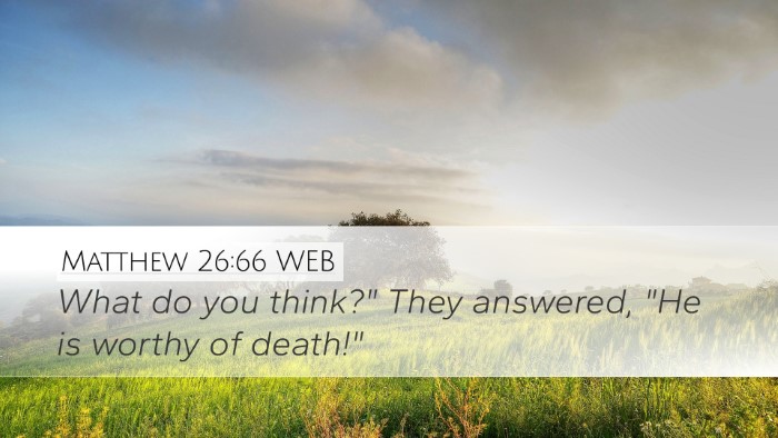 Matthew 26:66 WEB Desktop Wallpaper - What do you think?