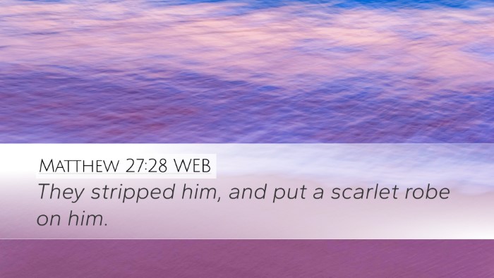 Matthew 27:28 WEB Bible Verse Image