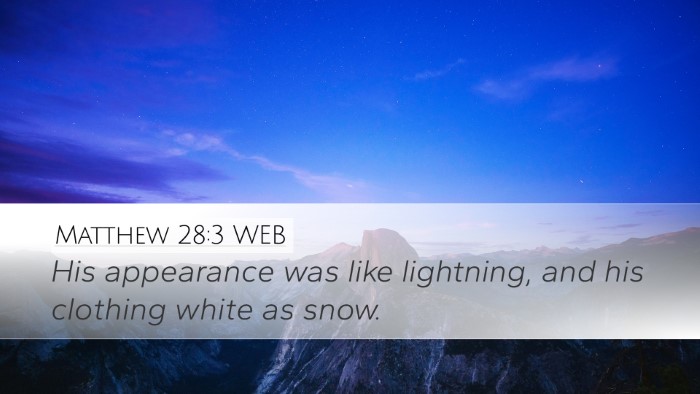 Matthew 28:3 WEB Bible Verse Image