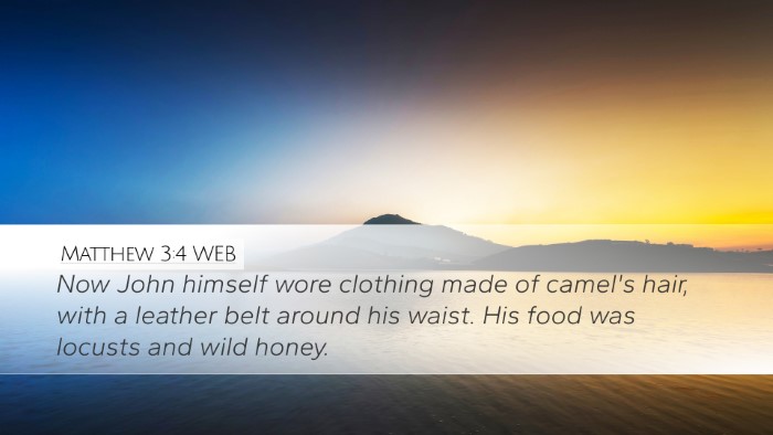 Matthew 3:4 WEB Bible Verse Image