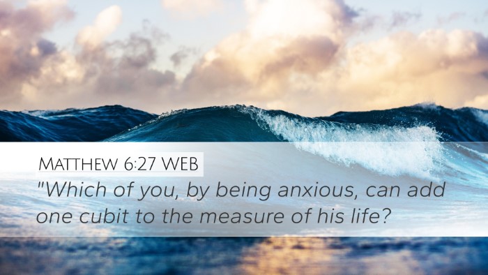 Matthew 6:27 WEB Bible Verse Image