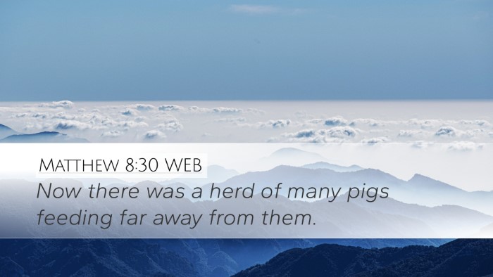 Matthew 8:30 WEB Bible Verse Image