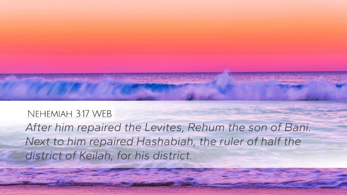 Nehemiah 3:17 WEB Bible Verse Image