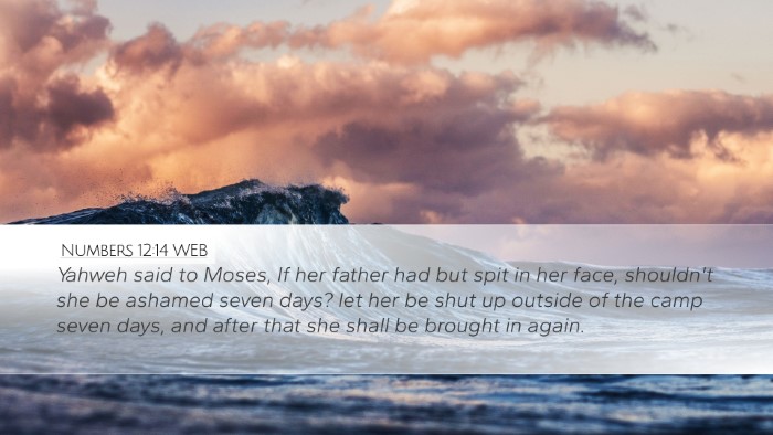 Numbers 12:14 WEB Bible Verse Image