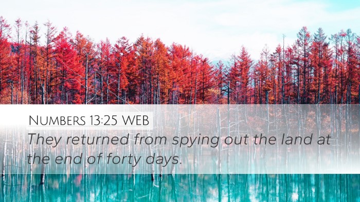 Numbers 13:25 WEB Desktop Wallpaper - They returned from spying out the land at the end - Desktop Bible Verse Wallpaper