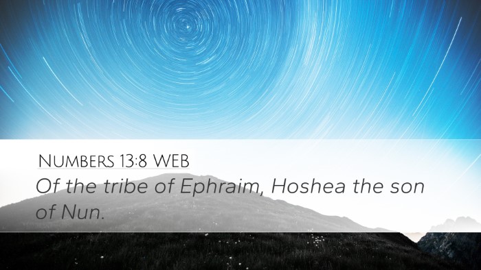 Numbers 13:8 WEB Bible Verse Image