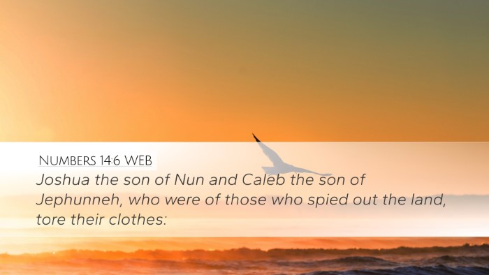 Numbers 14:6 WEB Bible Verse Image