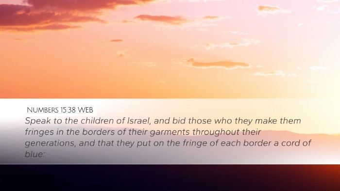 Numbers 15:38 WEB Bible Verse Image