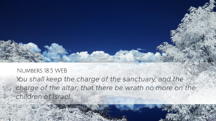 Numbers 18:5 WEB Bible Verse Image