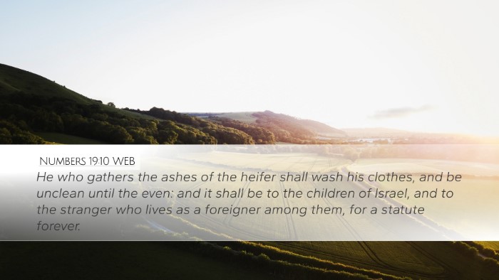 Numbers 19:10 WEB Desktop Wallpaper - He who gathers the ashes of the heifer shall wash - Desktop Bible Verse Wallpaper