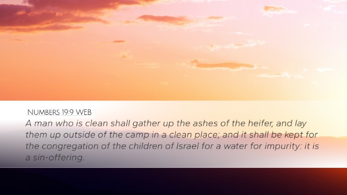 Numbers 19:9 WEB Desktop Wallpaper - A man who is clean shall gather up the ashes of - Desktop Bible Verse Wallpaper