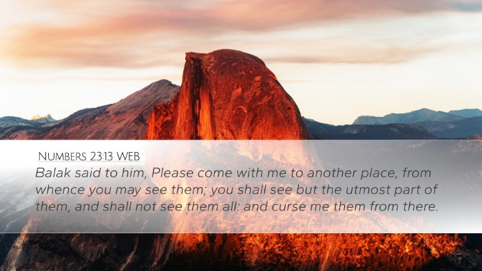 Numbers 23:13 WEB Bible Verse Image