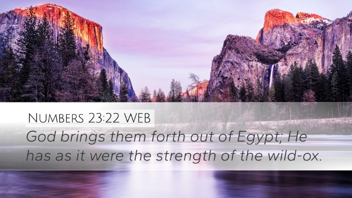 Numbers 23:22 WEB Bible Verse Image