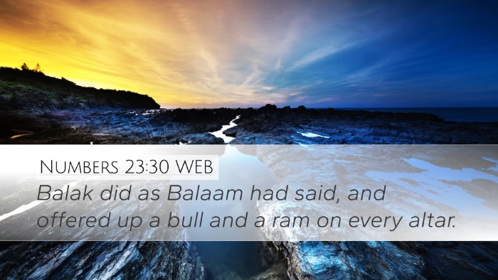 Numbers 23:30 WEB Bible Verse Image