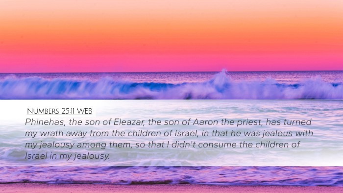Numbers 25:11 WEB Bible Verse Image
