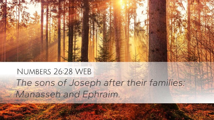 Numbers 26:28 WEB Bible Verse Image
