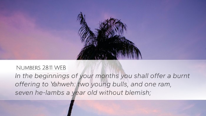Numbers 28:11 WEB Bible Verse Image