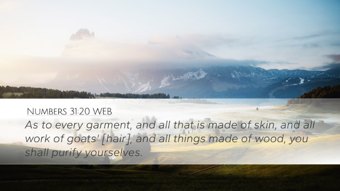 Numbers 31:20 WEB Bible Verse Image