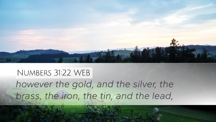 Numbers 31:22 WEB Bible Verse Image