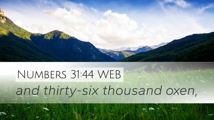 Numbers 31:44 WEB Desktop Wallpaper - and thirty-six thousand - Desktop Bible Verse Wallpaper