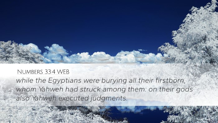 Numbers 33:4 WEB Bible Verse Image