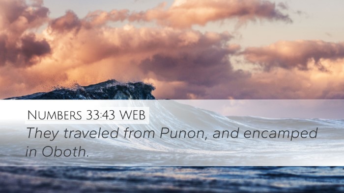 Numbers 33:43 WEB Bible Verse Image