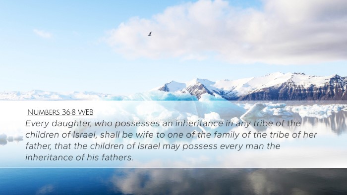 Numbers 36:8 WEB Bible Verse Image