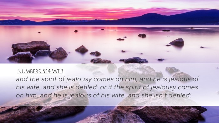 Numbers 5:14 WEB Bible Verse Image