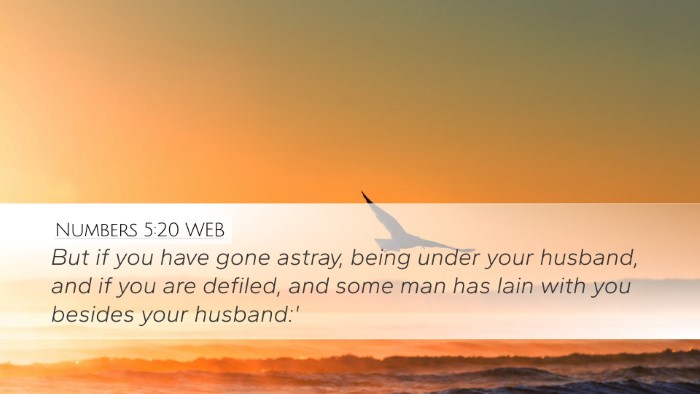 Numbers 5:20 WEB Bible Verse Image
