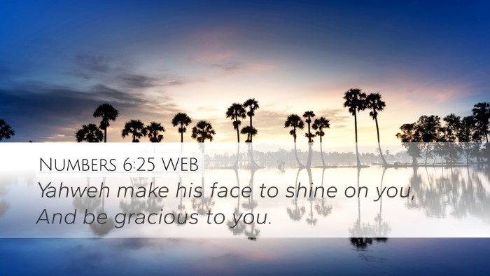 Numbers 6:25 WEB Bible Verse Image