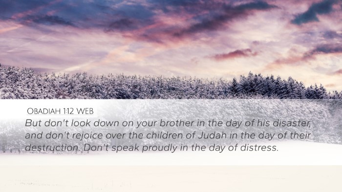 Obadiah 1:12 WEB Bible Verse Image
