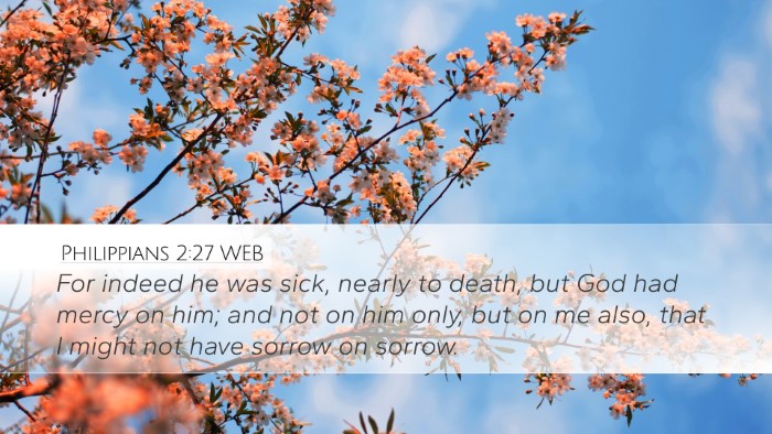 Philippians 2:27 WEB Bible Verse Image