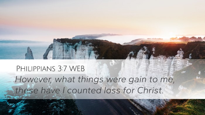 Philippians 3:7 WEB Bible Verse Image