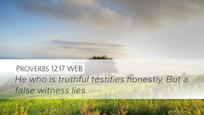 Proverbs 12:17 WEB Bible Verse Image