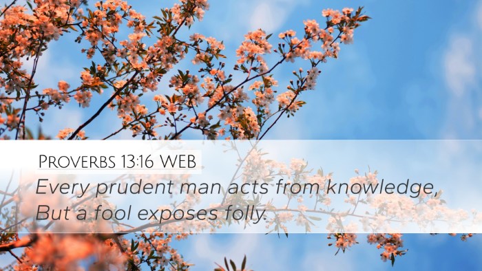 Proverbs 13:16 WEB Bible Verse Image