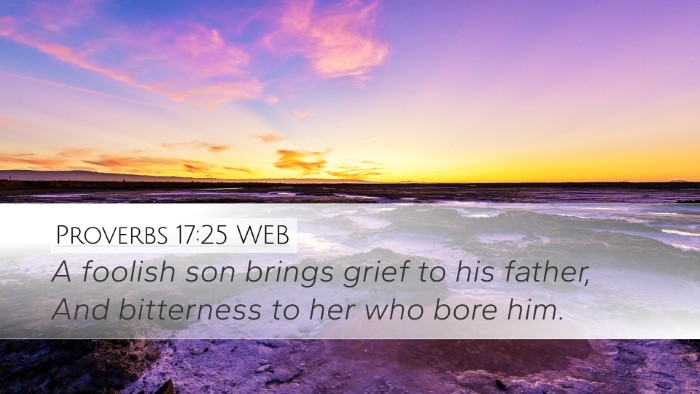 Proverbs 17:25 WEB Bible Verse Image
