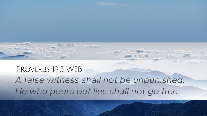 Proverbs 19:5 WEB Bible Verse Image