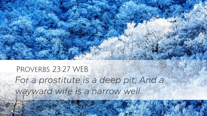 Proverbs 23:27 WEB Bible Verse Image