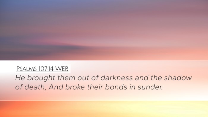 Psalms 107:14 WEB Bible Verse Image