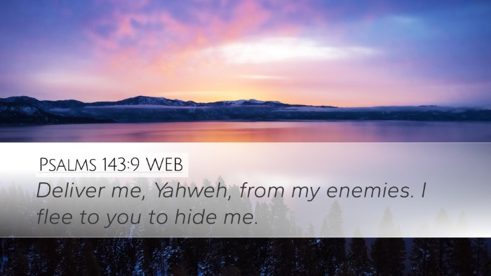 Psalms 143:9 WEB Bible Verse Image