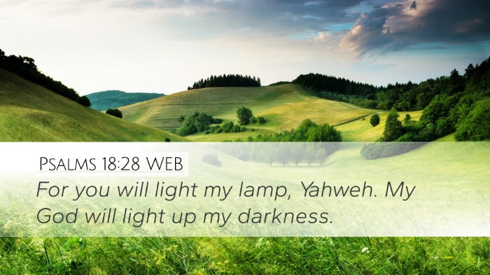 Psalms 18:28 WEB Bible Verse Image