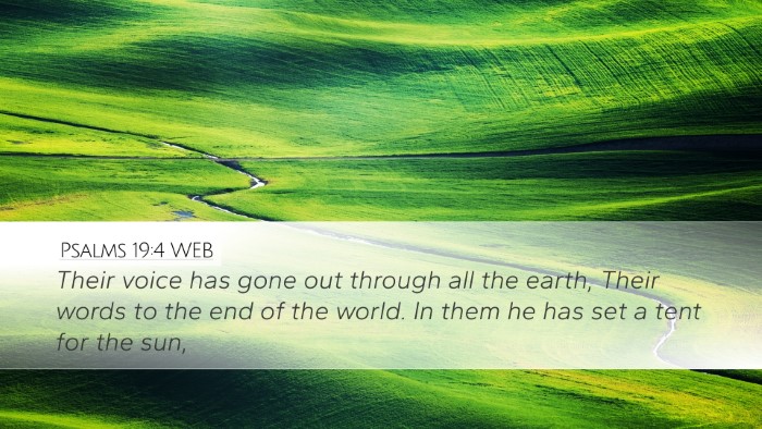 Psalms 19:4 WEB Bible Verse Image