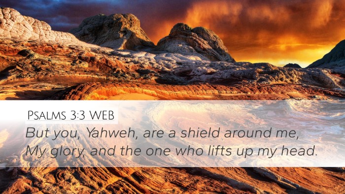 Psalms 3:3 WEB Bible Verse Image