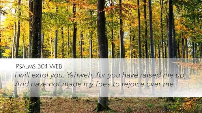 Psalms 30:1 WEB Bible Verse Image