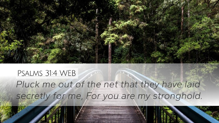 Psalms 31:4 WEB Bible Verse Image