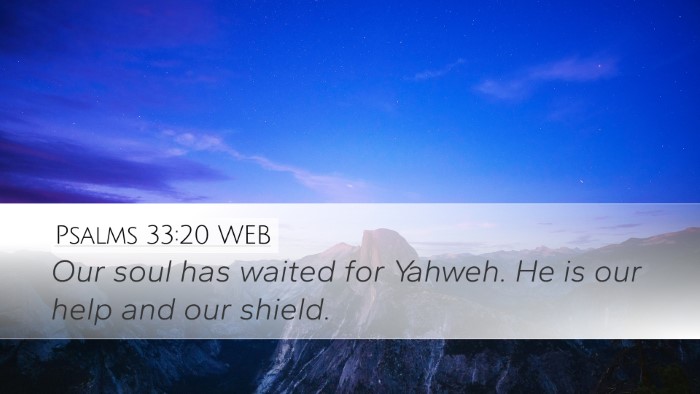 Psalms 33:20 WEB Bible Verse Image